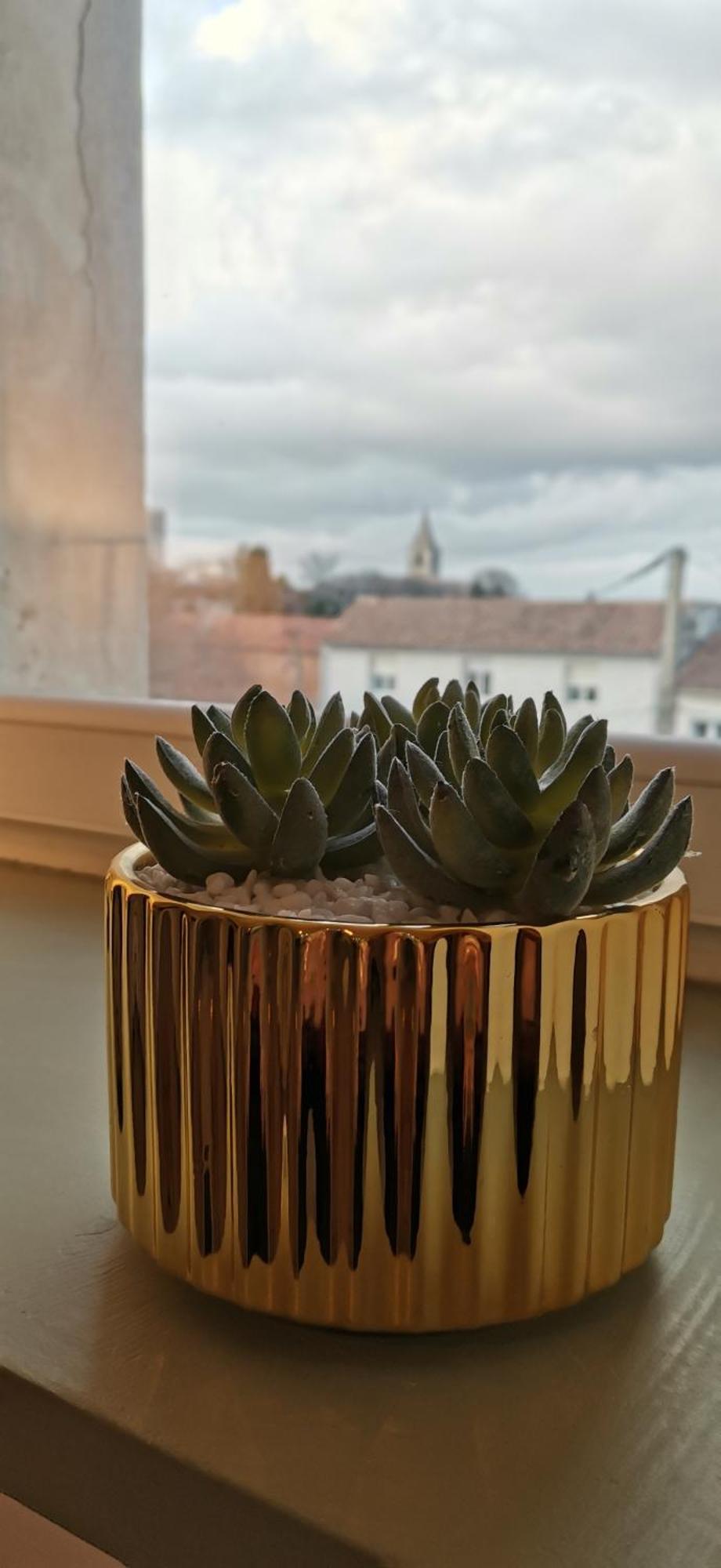 Entre Tour Luma Et Arenes Apartment Арл Екстериор снимка